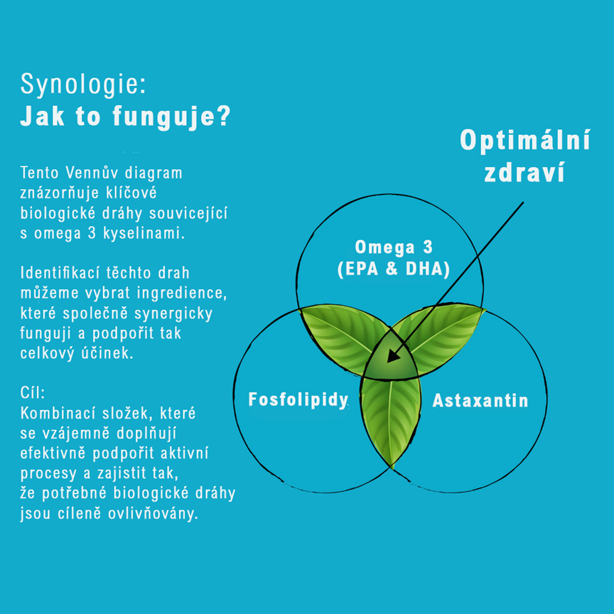 Krill Oil - Synology Square
